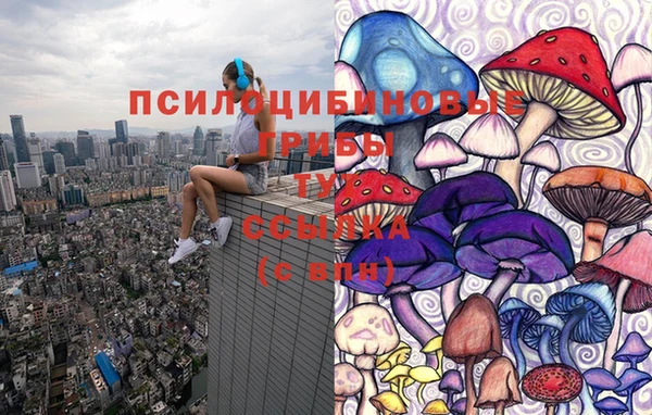 spice Армянск