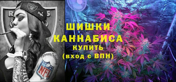 ПСИЛОЦИБИНОВЫЕ ГРИБЫ Баксан