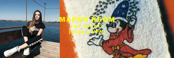 ПСИЛОЦИБИНОВЫЕ ГРИБЫ Баксан
