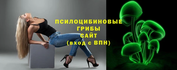 ПСИЛОЦИБИНОВЫЕ ГРИБЫ Баксан