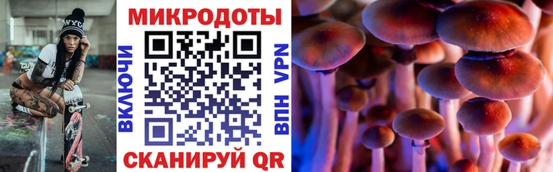Галлюциногенные грибы мухоморы  как найти   Радужный 