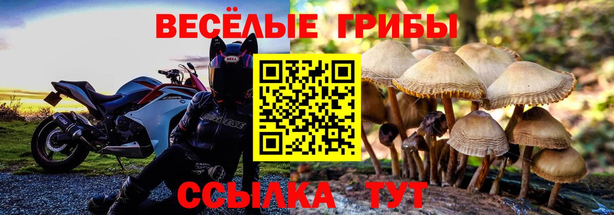 Галлюциногенные грибы ЛСД Радужный